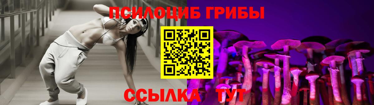 Псилоцибиновые грибы прущие грибы  Вход с VPN  Михайловка 